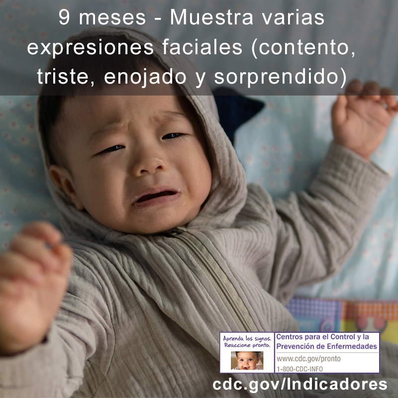 Muestra varias expresiones faciales (contento, triste, enojado y sorprendido) camera image 2 of 2