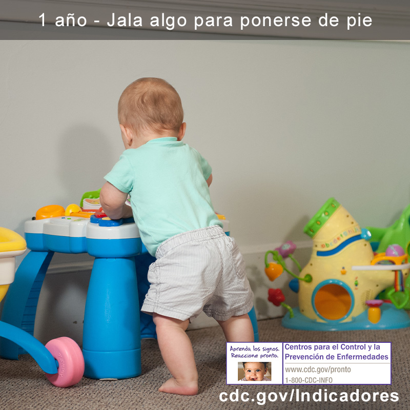 Jala algo para ponerse de pie image 2