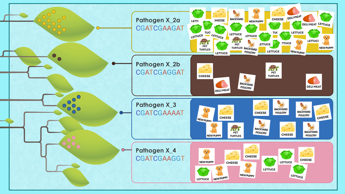 A phylogenetic tree shows colored dots for each sample collected. Next to the tree is patient data for each patient.