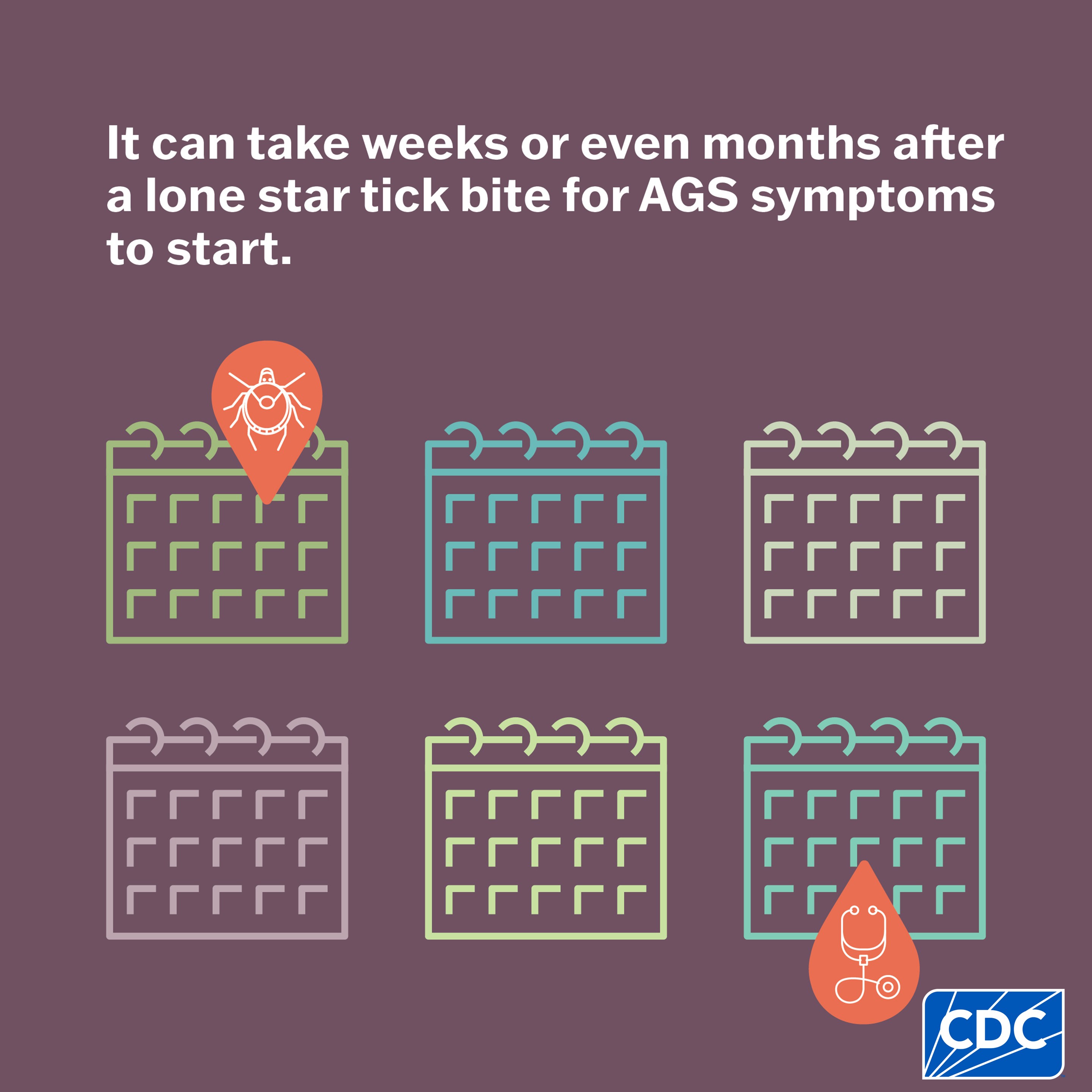 A graphic showing that AGS symptoms can start weeks to months after a tick bite.