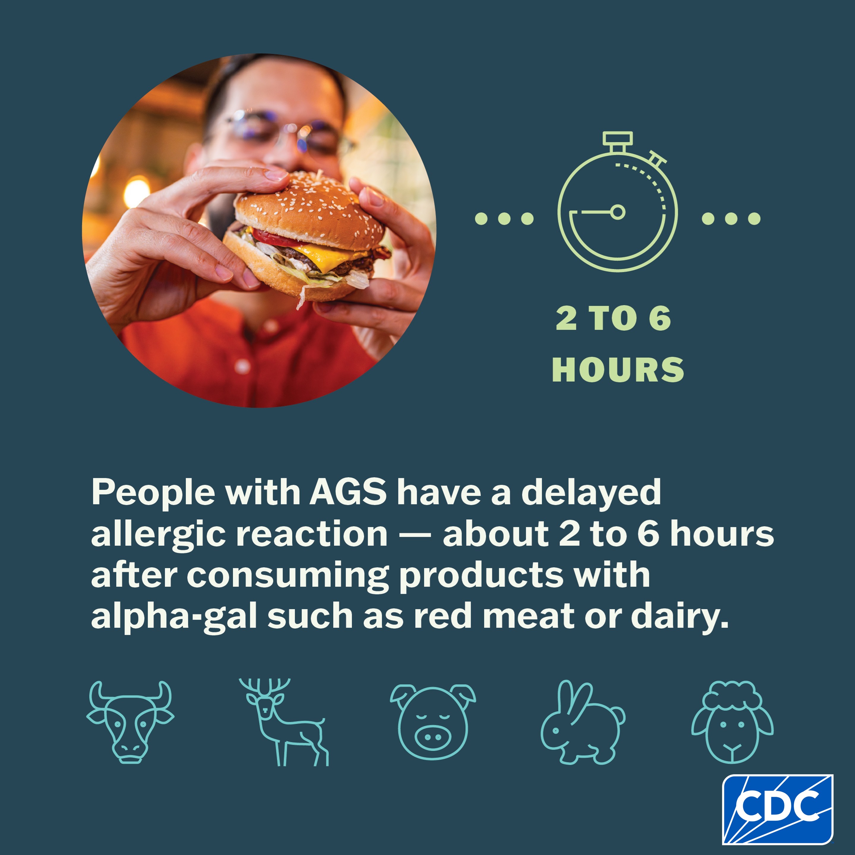 A graphic showing that an allergic reaction to alpha-gal can occur 2–6 hours after exposure to alpha-gal.
