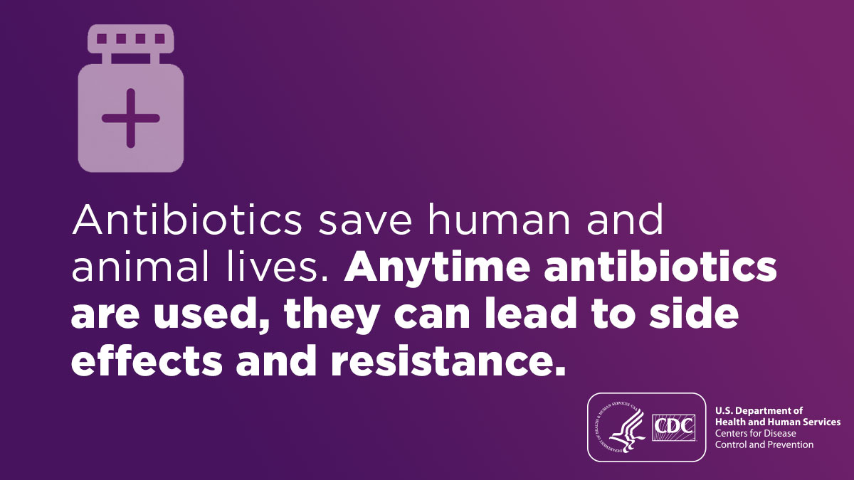 Antibiotics save human and animal lives. Anytime antibiotics are used, they can lead to side effects and resistance.
