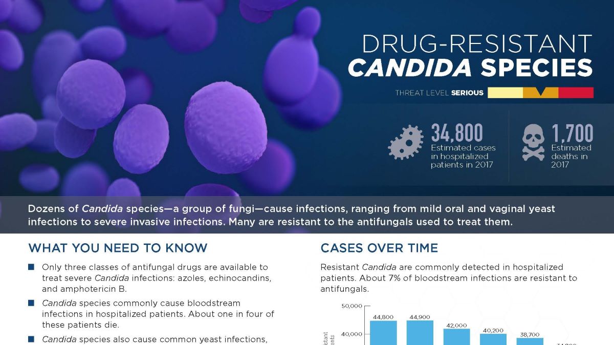 Candida species