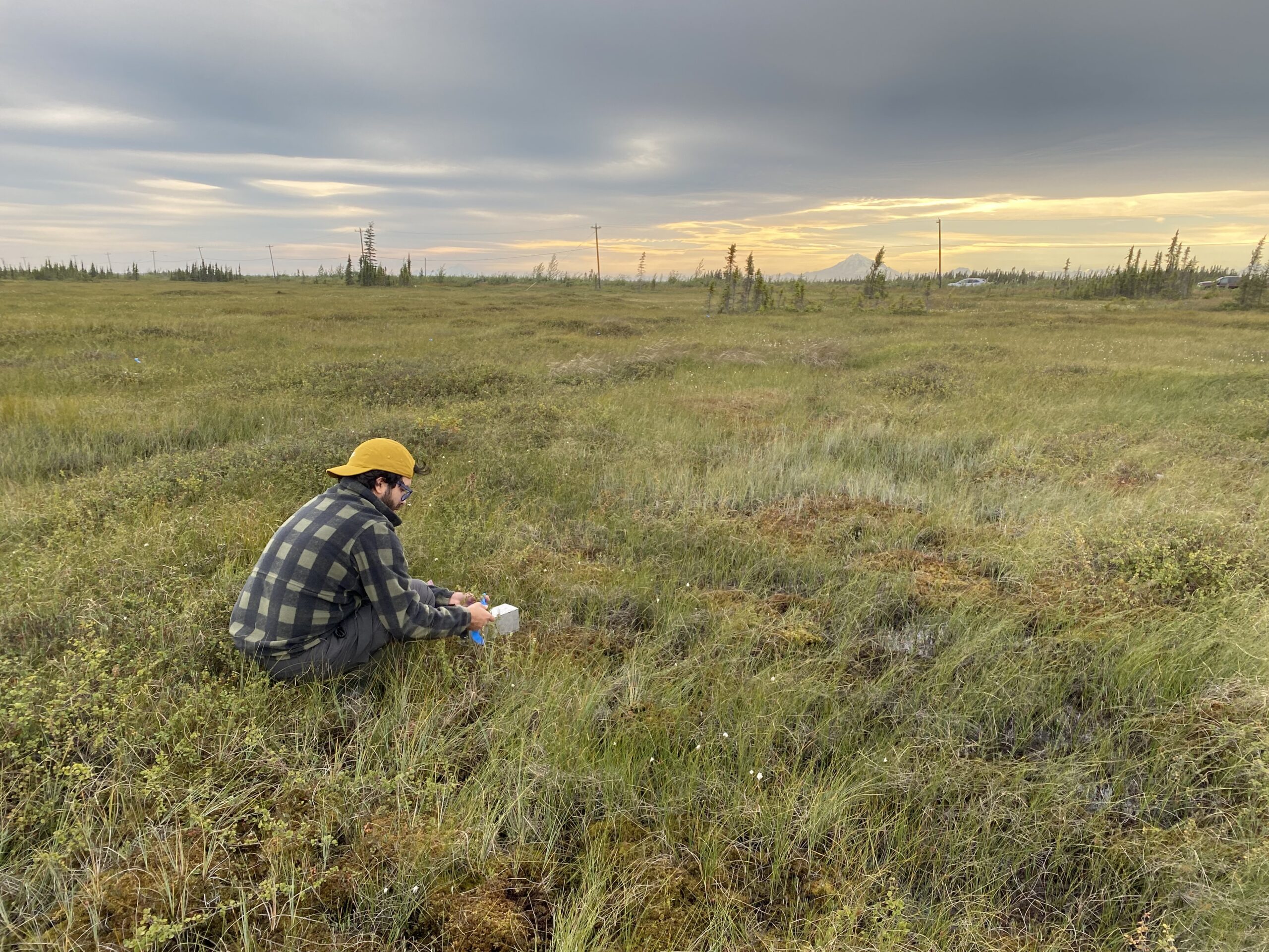 Man holding a sample container while kneeling in a field.