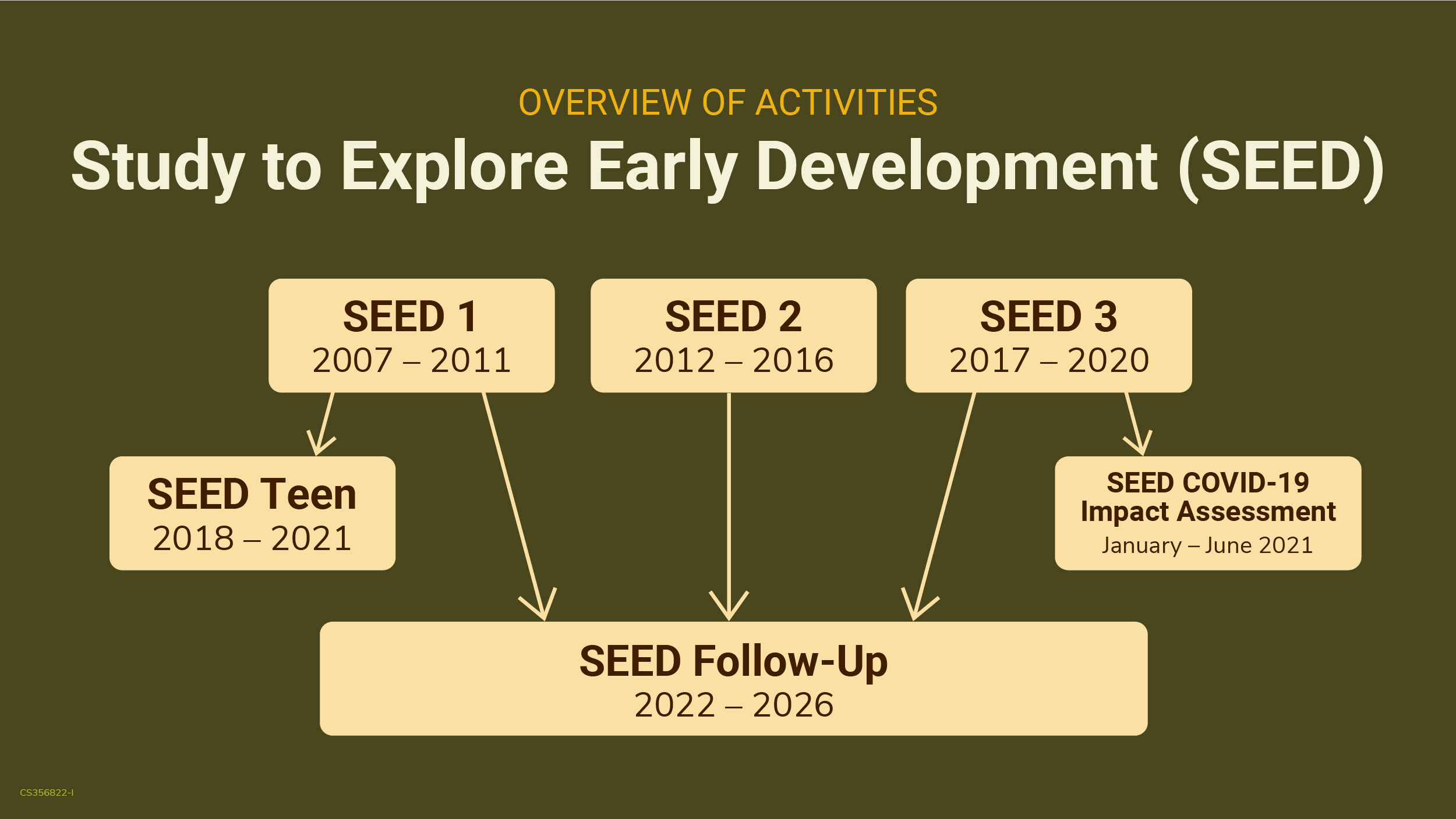 A diagram of activities for the Study to Explore Early Development (SEED), showing the different phases of the study.