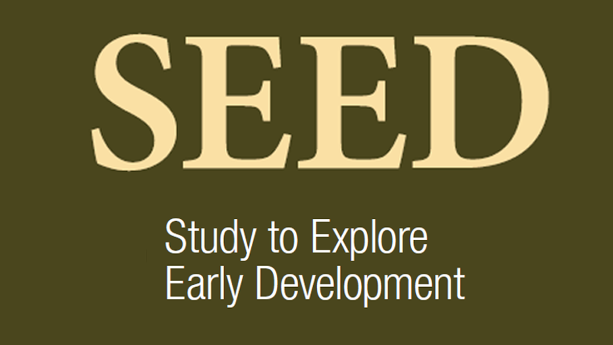 CDC SEED banner graphic.