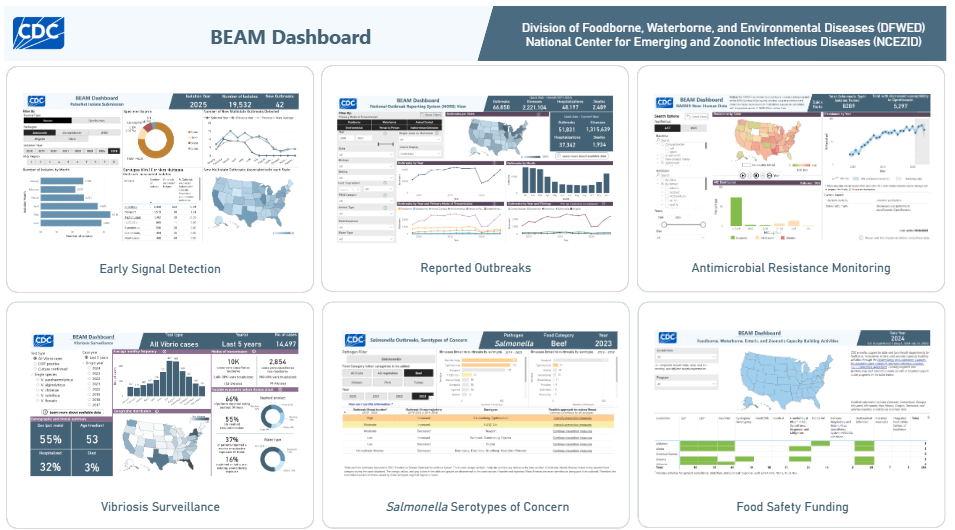 Screenshot of the BEAM dashboard