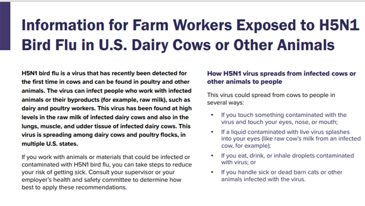 Information for farm workers exposed to H5N1 bird flu in U.S.