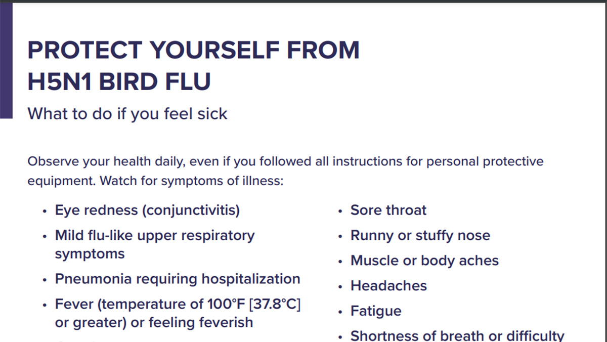 What to do if you feel sick