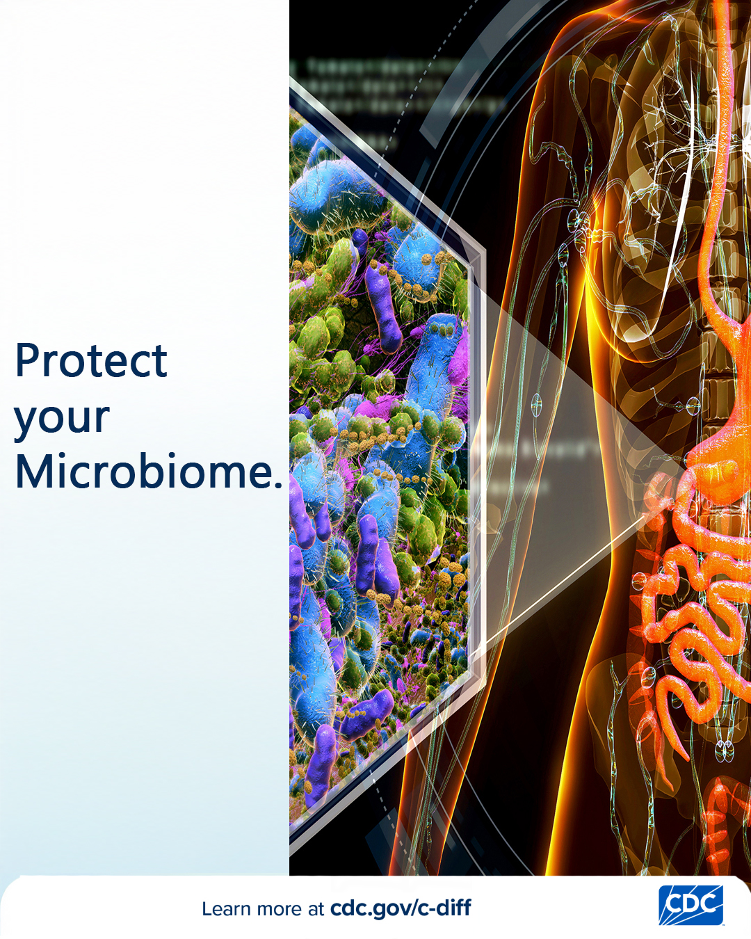 Graphic illustration of the gut microbiome, showing a human intestine filled with shapes representing healthy bacteria.