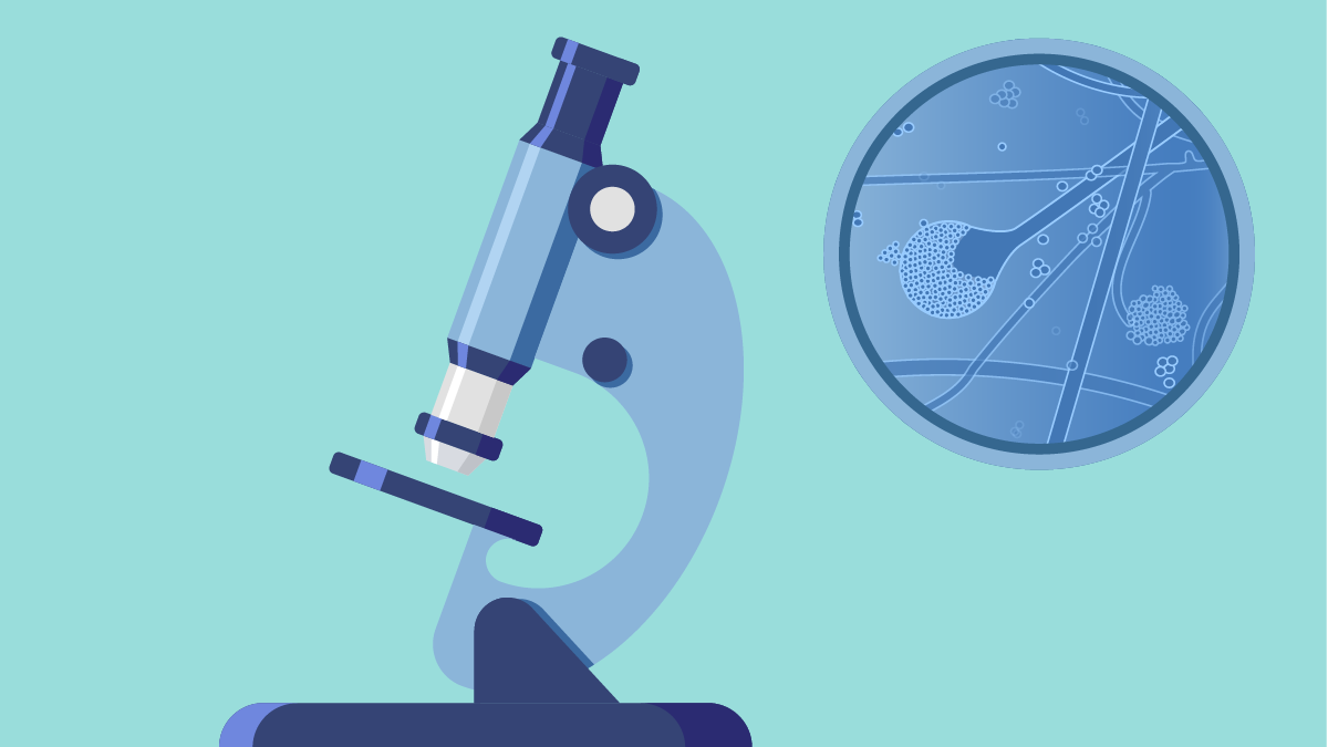 microscope illustration Microscope.