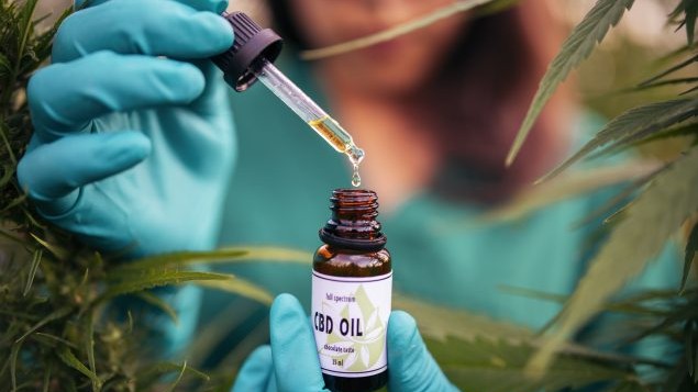 — title missing — Gloved hands holding dropper above a bottle labeled 'CBD OIL'.