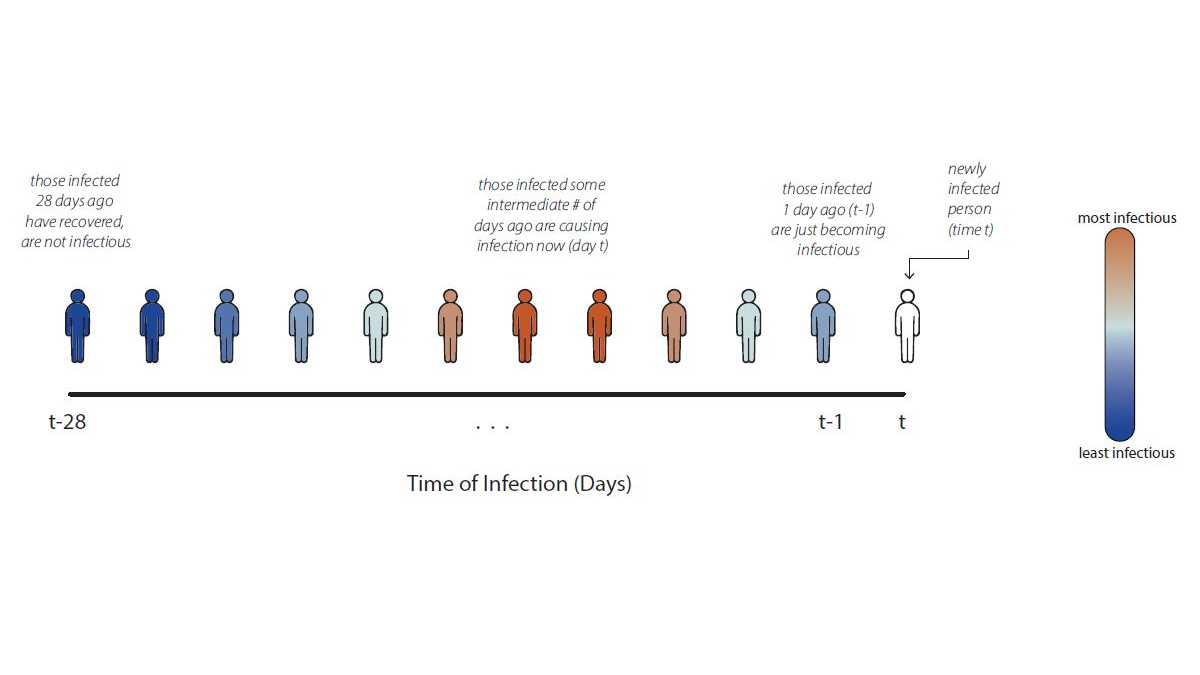 This diagram shows how those who became infected more days in the past are less likely to be responsible for new cases we are observing now.