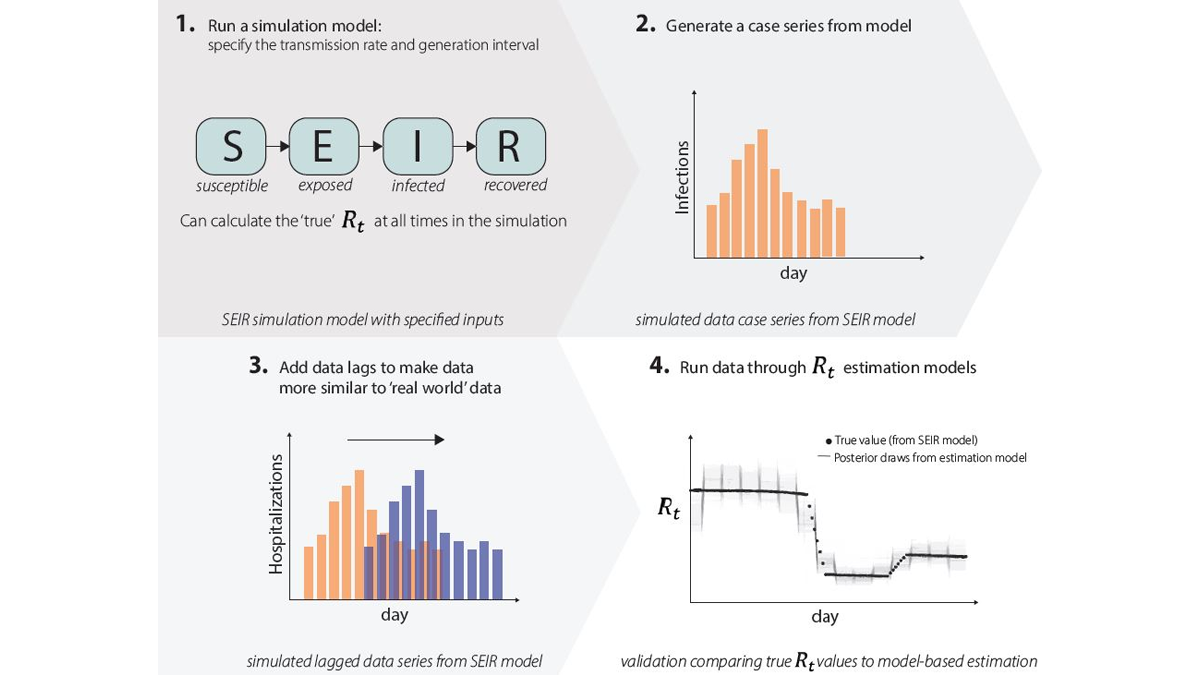 This diagram illustrates the mechanism for validating Rt estimates using simulation results.