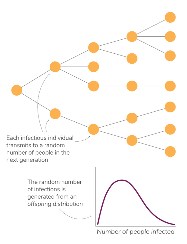 Diagram showing a branching process model over several generations and the offspring distribution.