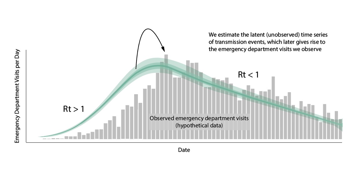 Graph showing estimated timeseries of infections of individuals that will go on to visit the emergency department, represented in the green line, surrounded by uncertainty interval bands, with observed emergency department visits depicted in gray bars