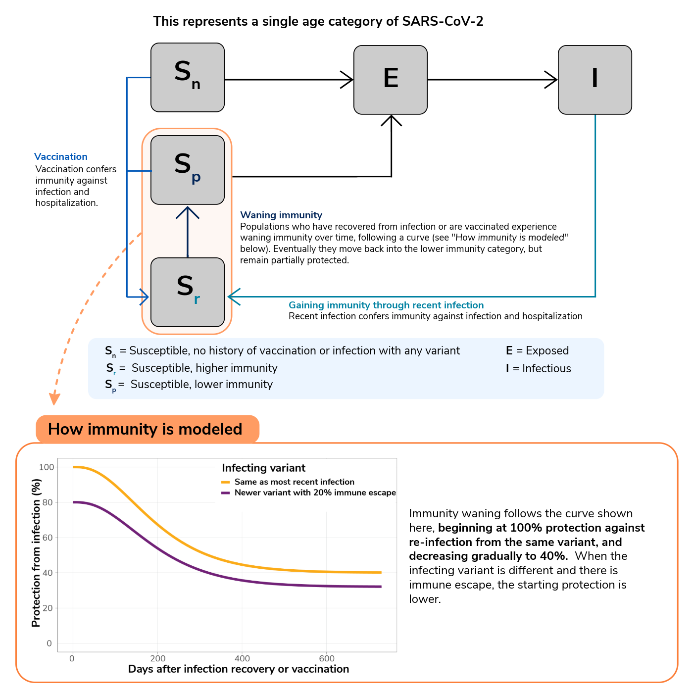 Diagram showing the scenario model structure. Shows a box labeled "Sn" with an arrow representing vaccination going to a box labeled "Sr" and an arrow representing infection going to a box labeled "E". The box labeled "E" has an arrow going to a box labeled "I", which has an arrow going to a box labelled "Sr", representing recovery from infection and a higher immune state. The Sr box has an arrow going to "Sp," representing waning partial immunity. An arrow from "Sp" and "Sr" goes to "E", as immunity is partial, meaning infection can still occur. The diagram also includes a graph showing how immunity wanes over time for infections with both the same variant and a different variant with immune escape properties.  For infections with the same variant, immunity begins at 100% and wanes to 40%. When the infecting variant is different, protection is lower and depends on immune escape properties.