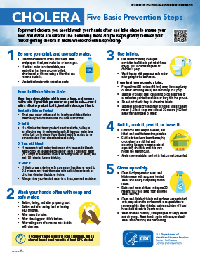Fact sheet listing 5 cholera prevention measures