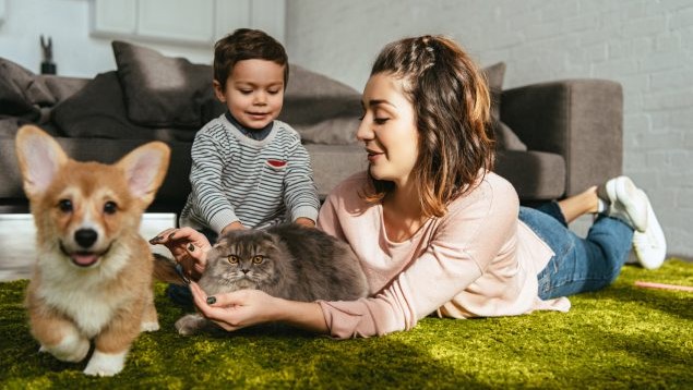 Una mujer tumbada en el suelo de una sala sostiene un gato peludo mientras un niño lo acaricia. Un perro camina cerca.