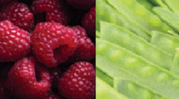 Raspberries and pea pods