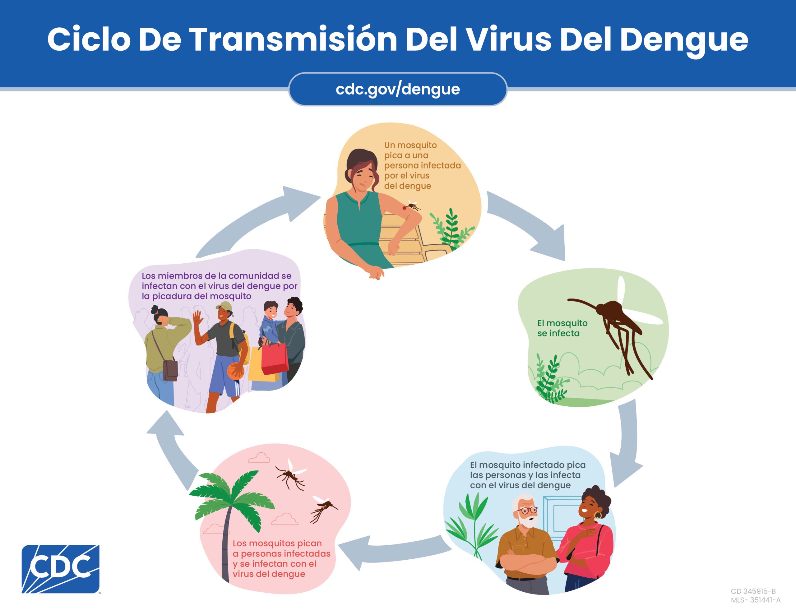Gr&aacute;fico que muestra c&oacute;mo se transmite el dengue desde una persona hasta una comunidad por picaduras de mosquitos.