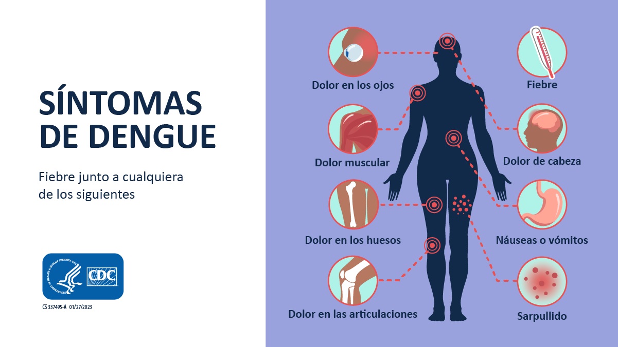 Silueta humana con gráficos y rótulos de los síntomas del dengue.