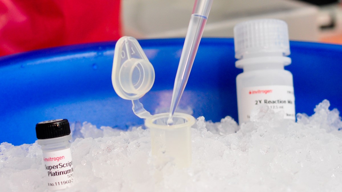 Tres frascos de solución de prueba colocados sobre hielo con una pipeta extrayendo líquido del frasco del centro.
