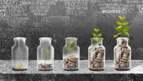 row of vases with coins and plants