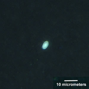 Case156_B.jpg