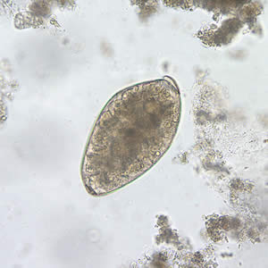 Case180_A.jpg