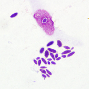Case234_A.jpg