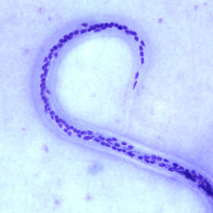 Case252_C.jpg