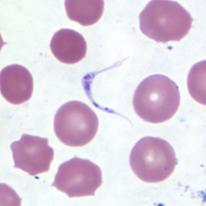 Case254_D.jpg