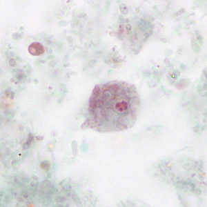 Case265_C.jpg