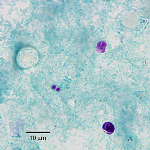 Case269_A.jpg