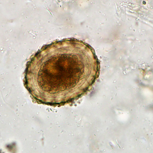 Case284_A.jpg