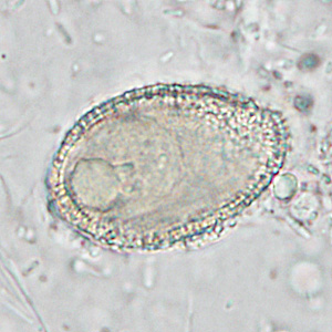 Case286_C.jpg