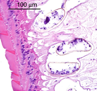 Case288_D.jpg