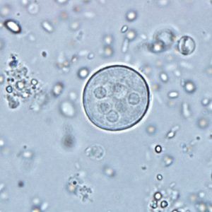 January - 2011 - Case #291