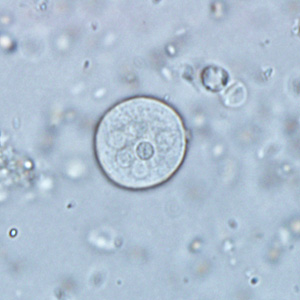 Case291_C.jpg