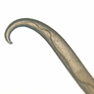 Case301_C.jpg