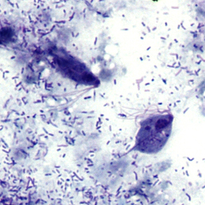 Case303_C.jpg
