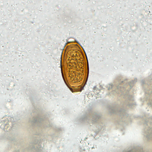 Case307_B.jpg