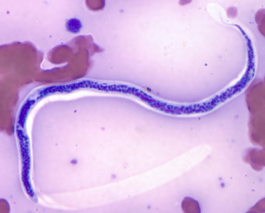 Case311_A.jpg
