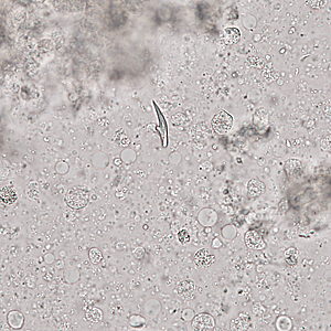 Case321_B.jpg