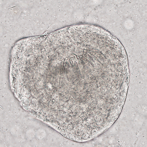 Case321_C.jpg