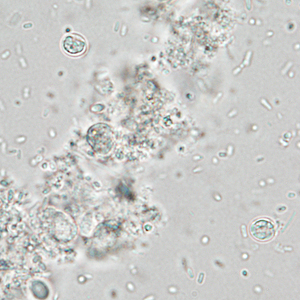 Case337_B.jpg