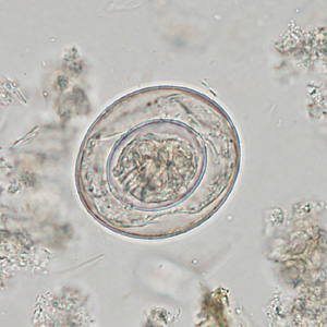 Case342_A.jpg