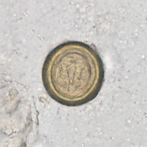 Case358_C.jpg