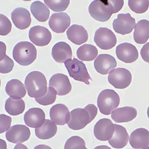 Case359_B.jpg